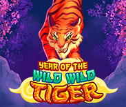 Year Of The Wild Wild Tiger